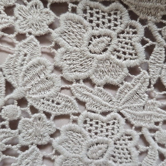 Ann Taylor-Beige lace sheath dress with chiffon overlay on right side Sz 16P - Picture 4 of 8